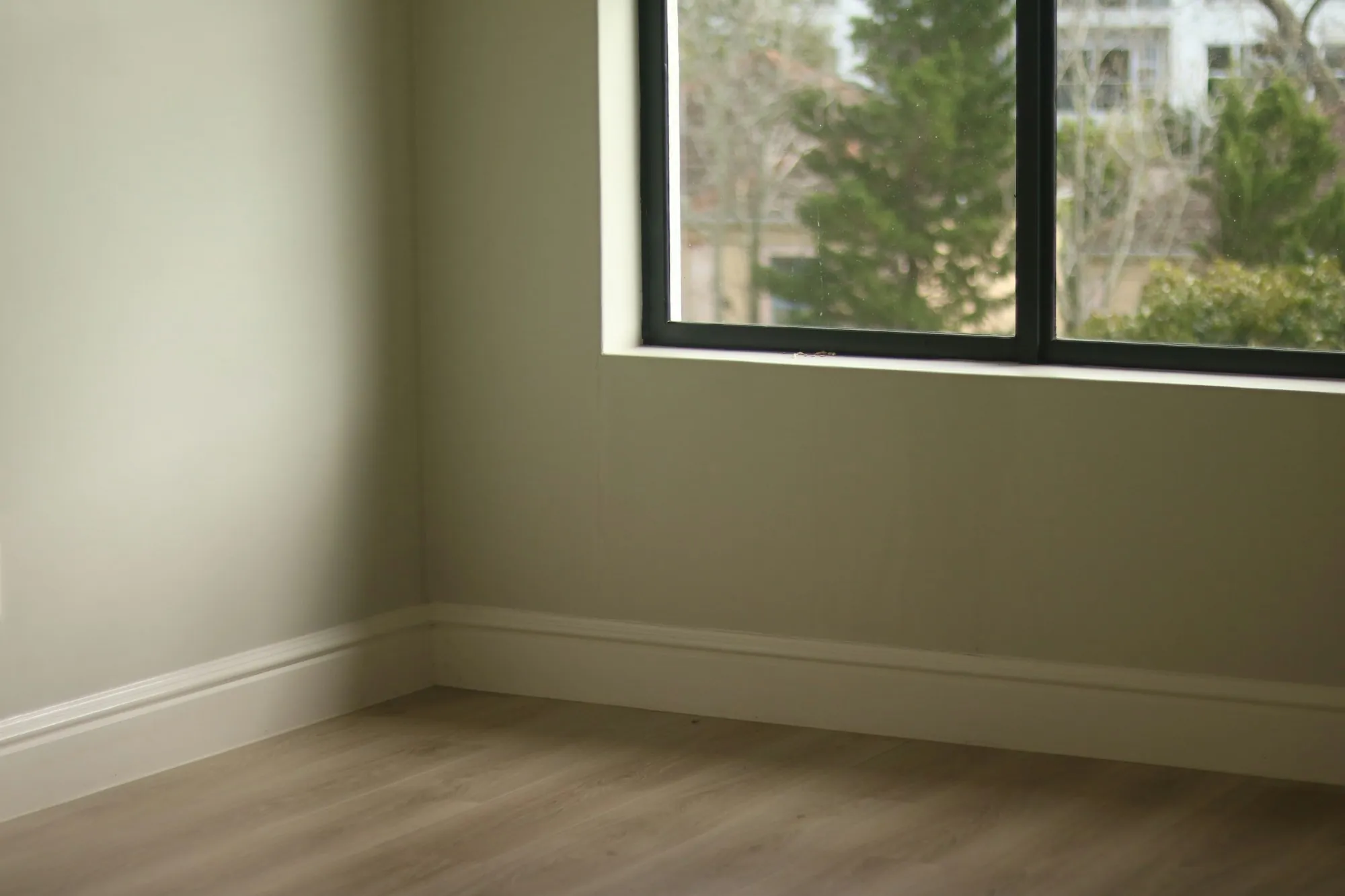 Freshly painted sage green walls with clean white baseboards beside a large window